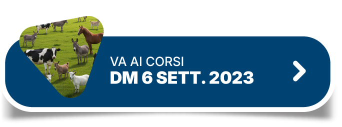 Vai ai corsi DM 6 Sett. 2023