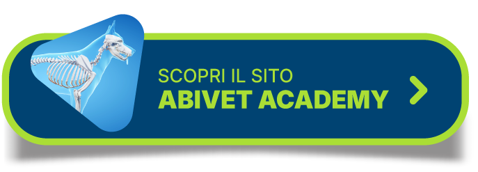 Scopri il sito Abivet Academy